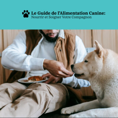 Le Guide de l'Alimentation Canine: Nourrir et Soigner Votre Compagnon
