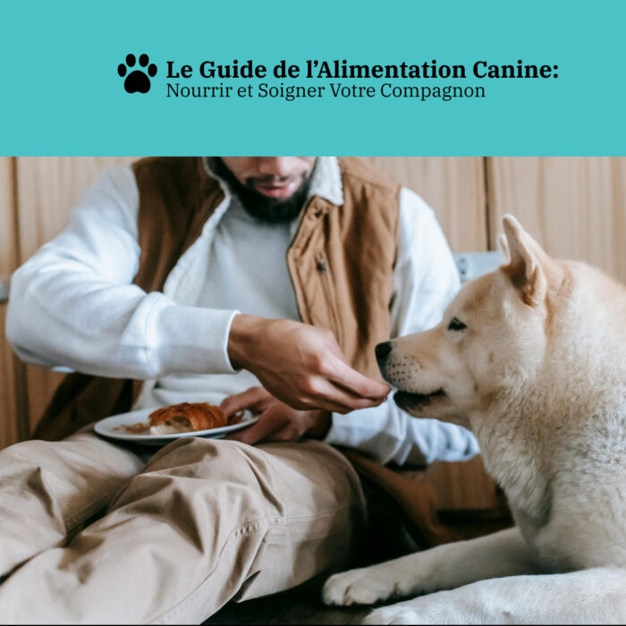 Le Guide de l'Alimentation Canine: Nourrir et Soigner Votre Compagnon