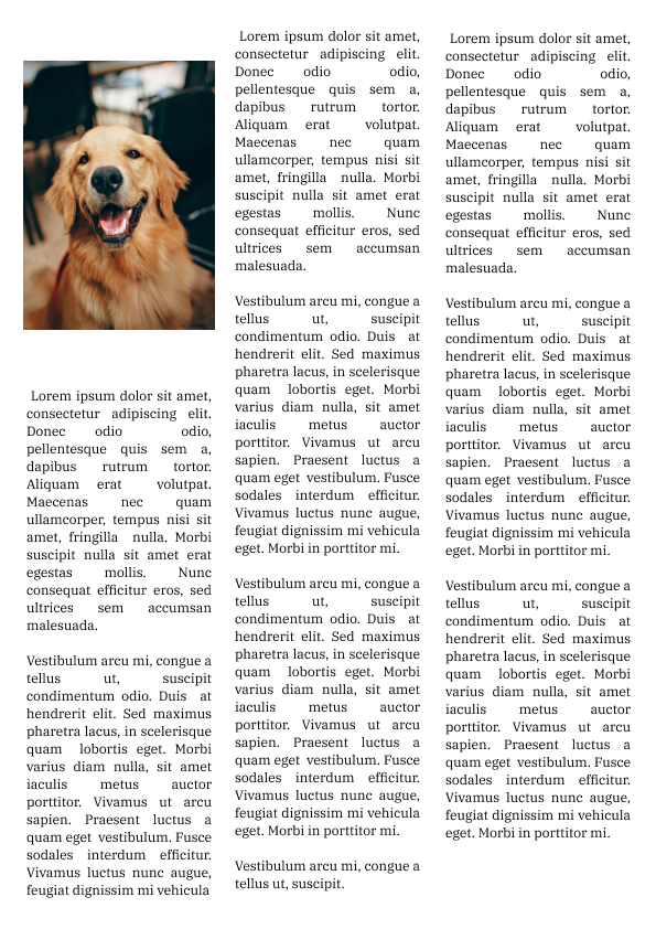 Le Guide du Dressage Canin: Maîtriser l'Art de la Relation Homme-Chien - l'intégrale