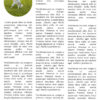 Le Guide du Dressage Canin: Maîtriser l'Art de la Relation Homme-Chien - l'intégrale