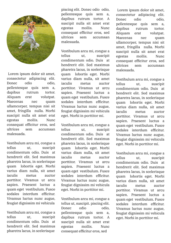 Le Guide du Dressage Canin: Maîtriser l'Art de la Relation Homme-Chien - l'intégrale