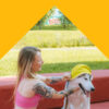 Le Guide du Dressage Canin: Tome 1 - Les Fondamentaux